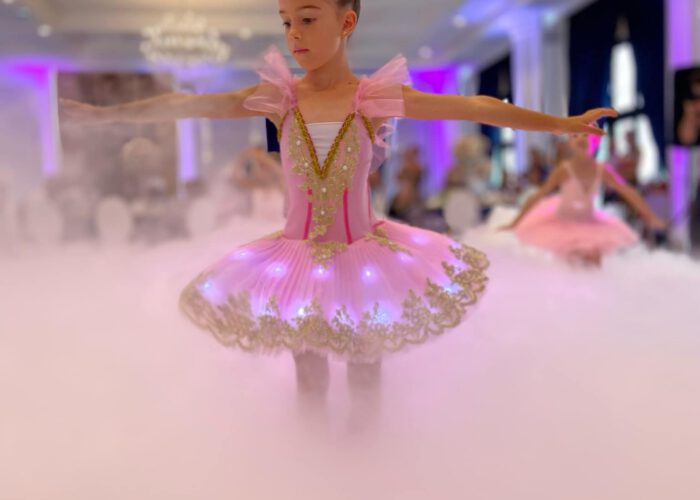 Symphony by the Lake 2